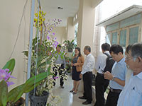 Thành lập Hợp tác xã hoa – cây cảnh đầu tiên tại Phan Thiết