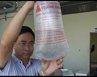Tuy Phong: Sản xuất tôm giống đạt 23,7 tỷ post