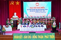 Bà Bố Thị Xuân Linh tái đắc cử chức danh Chủ tịch Ủy ban Mặt trận Tổ quốc Việt Nam tỉnh