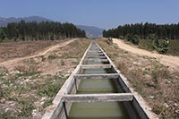 Dự án kênh chuyển nước hồ Sông Dinh 3 – hồ Núi Đất: Các hộ dân kiến nghị nâng mức giá đền bù đất