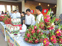 Sản phẩm, dịch vụ lợi thế của Bình Thuận: Kỳ vọng từ Chương trình OCOP