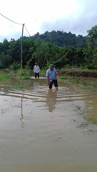 UBND tỉnh phát công điện đối phó mưa lũ
