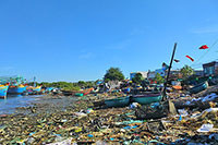 Cửa biển Phú Hài ô nhiễm nặng