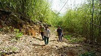 Hàm Thuận Nam: Phát động “Tết trồng cây”