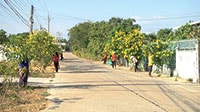 Mô hình đường hoa của hội LHPN thị trấn Tân Minh