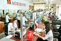 Agribank Bình Thuận: Đã có 7 doanh nghiệp đề nghị  hỗ trợ lãi suất