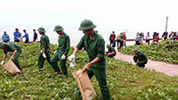 Hơn 250 đoàn viên thanh niên dọn vệ sinh môi trường biển