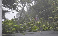 Quốc đảo Fiji ban bố tình trạng “thảm họa” do siêu bão Winston