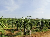 “Hàm Cần: Hàng chục hộ dân sang nhượng trái phép đất 04”: Kiểm điểm trước dân các hộ mua bán đất trái phép