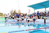 Tổ chức giải bơi lội nhân 70 năm Ngày truyền thống Ngành Thể dục Thể thao