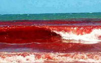 Thủy triều đỏ lan từ Mỹ đến Chile: Chính phủ cấm ăn cá