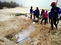 Cá chết hàng loạt: Quảng Bình khuyến cáo du khách không tắm biển
