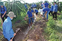 Chiến dịch “Thanh niên tình nguyện hè” 2016: Chú trọng các hoạt động tình nguyện tại chỗ