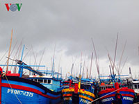 Bốn tàu vận tải hàng đang đậu trong cảng Vũng Rô bị trôi vào vùng biển Ninh Hoà, hàng ngàn bè nuôi tôm, cá bị trôi ra biển.