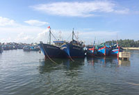 Ngư dân Bình Định thiệt hại vì tàu vỏ thép nằm bờ chưa được bồi thường
