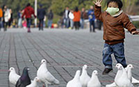 Trung Quốc đóng cửa các chợ gia cầm do lo ngại dịch cúm gia cầm