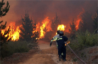 Chile: Hàng ngàn người trở về nhà sau khi sơ tán khỏi vụ cháy rừng