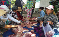 Tiền Giang: Người chăn nuôi ồ ạt bán tháo lợn để tự "cứu mình"