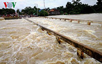 Campuchia: Nước lũ trên sông Mekong dâng cao