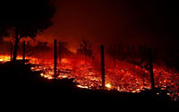 Cháy rừng ở California (Mỹ) làm ít nhất 42 người thiệt mạng