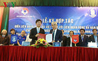 Bóng đá Hàn Quốc muốn giúp bóng đá Việt Nam vượt tầm châu Á