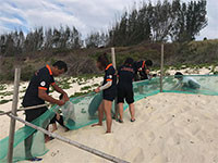 Ra biển Hòn Cau nhặt rác và bảo tồn rùa biển