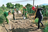 Bắt đầu chiến dịch tình nguyện hè 2019