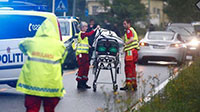 Nổ súng tại thánh đường Hồi giáo ở Na Uy, một người bị thương
