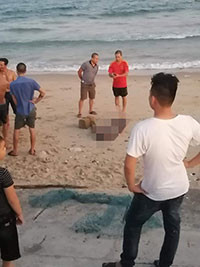 Phát hiện thi thể người đàn ông bị cột đá trôi dạt vào bãi biển