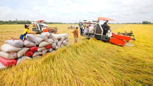 Vietnam’s agriculture aims for world top’s 15 by 2030