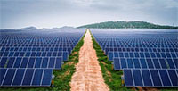 Đề nghị thẩm định, bổ sung dự án Nhà máy điện mặt trời Phú Lạc 4 vào quy hoạch