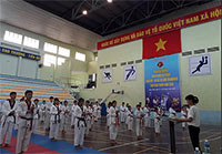 Bồi dưỡng chuyên môn kỹ thuật cho Hướng dẫn viên, Huấn luyện viên và võ sinh Taekwondo 