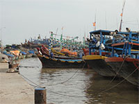 Tuy Phong: Không có tàu cá vi phạm vùng biển nước ngoài