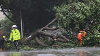 Bão Mekkhala đổ bộ tỉnh Phúc Kiến, Trung Quốc phát cảnh báo mưa bão kép