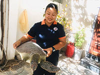 “Nữ hộ sinh” rùa biển - Lưu Yến Phi