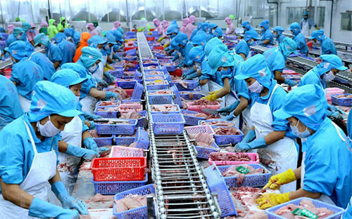 Seafood export turnover hits USD 99.81 million in the first 8 months