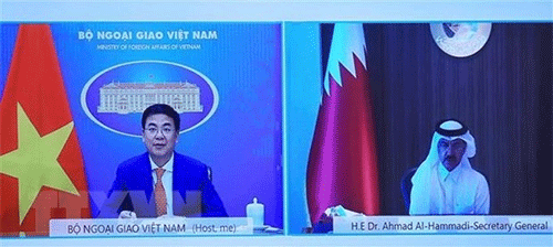 Vietnam, Qatar hold great cooperation potential