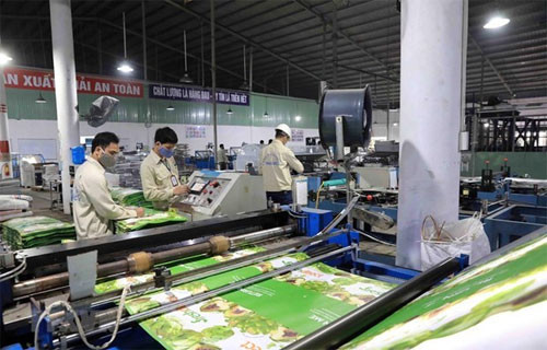 Vietnam boasts huge opportunities to attract foreign investment: WB official