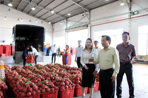 PPC Chairman encouraged dragon fruit growers and exporters amid nCoV outbreak