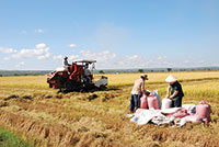 Hội nông dân các cấp: Khẳng định vai trò trong phát triển nông nghiệp, nông thôn