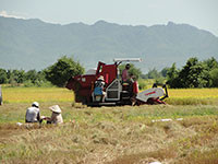 Phát triển kinh tế tập thể trong nông nghiệp, nông thôn