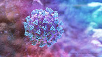 WHO: Xuất hiện biến thể mới của virus SARS-CoV-2 tại Nam Phi