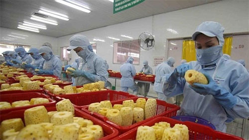 Vietnam targets US$10 billion from fruit, vegetable exports by 2030