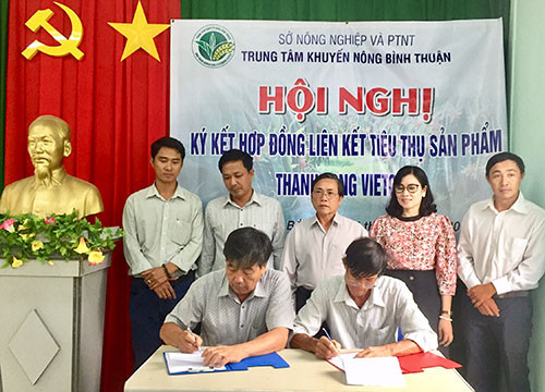 Agreements signed to fortify consumption and production linkage of Binh Thuan dragon fruit