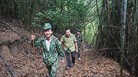 Xác định vùng trọng điểm phá rừng trên toàn tỉnh