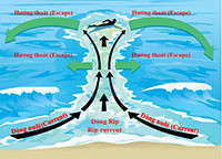 Viện Hải dương học cảnh báo về dòng chảy xa bờ ở các vùng biển Bình Thuận