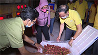 Bình Thuận hỗ trợ tiêu thụ vải thiều cho Bắc Giang