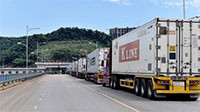 Tham gia vận chuyển thanh long xuất khẩu qua Cửa khẩu quốc tế Lào Cai cần biết