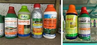 Ngừng buôn bán và sử dụng hoạt chất Glyphosate