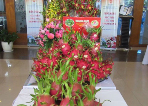 Binh Thuan to expand dragon fruit consumption both domestically and internationally